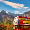 이랜드파크 켄싱턴리조트 지리산남원 이미지