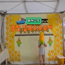 전국교차로 | 홍천 가볼만한곳 홍천 찰옥수수 축제 첫날 후기 주차 물놀이장 옥수수 판매 가격 총정리