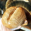 정진약국 | 로스쿨 오세요, 오지마세요 공부량 시간 민법선행방법 등