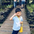 제주영락유치원 이미지