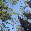 블리비의원 이미지