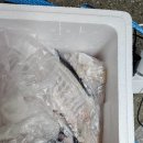 삼천포용수산시장 &#34;해선횟집&#34; 버스 배달, 택배 포장 주문하세요