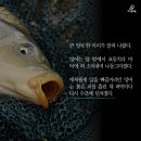 우리실내낚시터 이미지