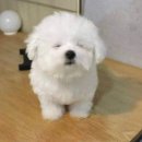 우리와베이커리