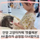 캣플헤븐 AK플라자금정점 이미지