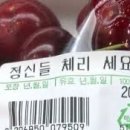 야빠