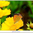 토평공원 이미지