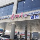 돼지마을 순대국