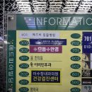 으뜸플러스안경 김해점 | 장유 안경점 추천 : 으뜸플러스안경 김해장유점 선글라스 구매 후기