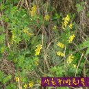 여난농장 이미지