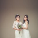더메인스튜디오 이미지