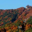 쏠로 7080 라이브 이미지