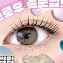 기브로우