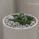 삼성외과의원 이미지