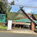 죽림4로 | [달랏] 죽림선원 케이블카 완벽 가이드 : 가격ㆍ팁ㆍ전망 후기