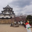 히코네일