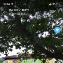 살아생전꼭먹어봐야하는은성식당 이미지