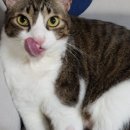 다다그루밍 이미지