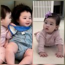 하루 이미지