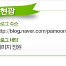 코리아타이거즈태권도 이미지