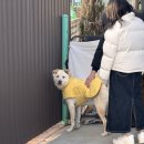 훈트(HUND) 이미지