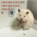 7월 2주차) 기분이 태도가 되지 않게.