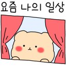광성목욕탕 이미지
