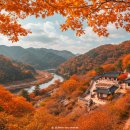 이은희 해물전문점 이미지