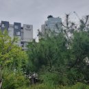 NC 백화점 강서점.. . 이미지