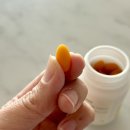 (주)알엑스바이오 이미지