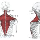 알엑스 퍼스널 트레이닝 이미지