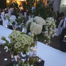 베스트 웨스턴 프리미어 강남호텔 이미지