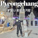 뉴동강카프라자 | '모나 용평 스키장' 야간개장, 슬로프부터 리프트권까지 궁금증 OUT