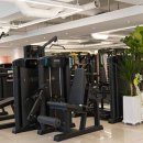 스페셜바디 레이디 이미지