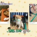 동삼동불짬뽕 이미지