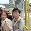 추풍령초등학교 이미지