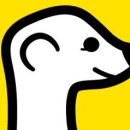 ﻿What You Should Know About Meerkat, The Hot New Video App 이미지