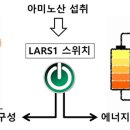 에너지원