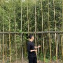 심천보건지소 이미지