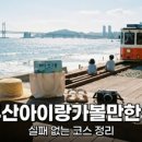 대의상회 | 빔비믹서기 써모믹스 가격과 기능 실제 후기 확인