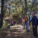 강화중성 이미지