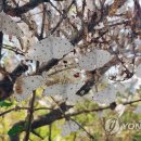 기동반-18 이미지