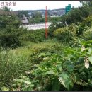 금마세차장 이미지