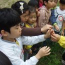 상지유치원 이미지