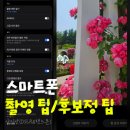 사진반(스마트폰) | [사진반] 스마트폰 강의 후기 - 촬영 팁과 후보정 노하우📱