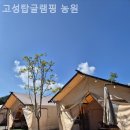 고성 탑 글램핑 농원 | [고성/캠핑장/글램핑] 고성탑글램핑 농원 계절마다 색다른 매력을 느낄 수 있는 장소