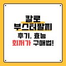 칼로부스터 팔찌 후기, 효능, 가격 – 내돈내산 실제 후기와 최저가 구매법까지
