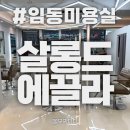 살롱드에끌라