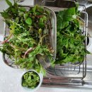 남선초교 이미지