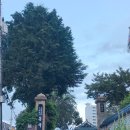 크라운호프 군산지곡점 이미지